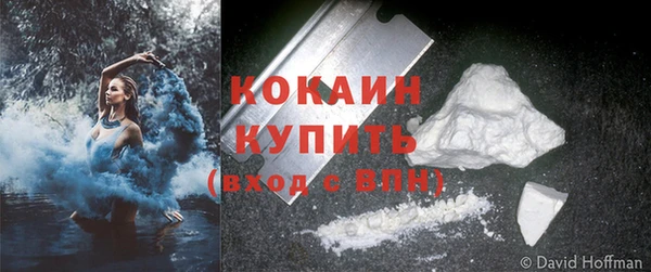 ГАЛЛЮЦИНОГЕННЫЕ ГРИБЫ Беломорск